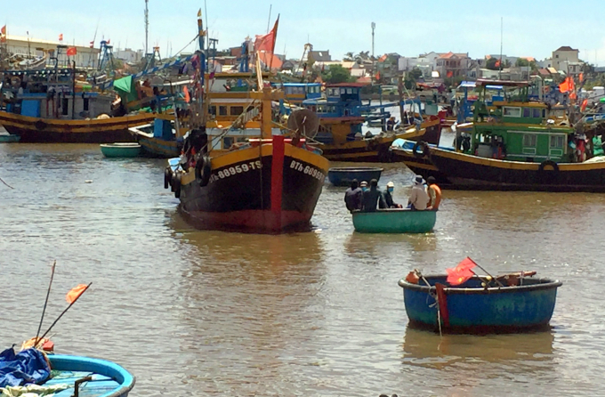 Fishermen catching seafood docked at Phan Thiet fishing port, Binh Thuan province. Photo: A.T.