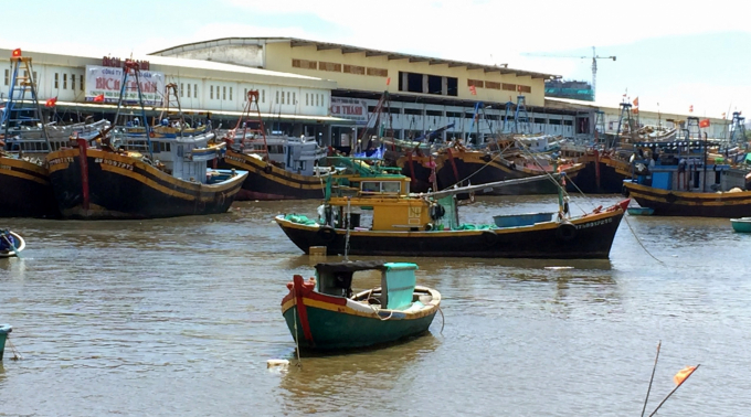 Despite the impact of the Covid-19 epidemic, making fish prices dropped, Binh Thuan fishermen are still trying their best to stick to the sea. Photo: A.T.