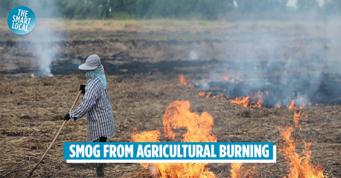 Tập quán đốt đồng tiêu hủy phụ phẩm nông nghiệp ảnh hưởng nặng nề đến sức khỏe cộng đồng và đang bị lầm tưởng là tiết kiệm chi phí sản xuất ở nhiều quốc gia. Ảnh: GEF
