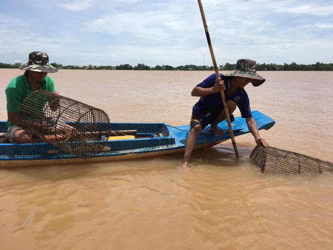 Việc xả lũ sẽ mang lại lượng phù sa bồi đắp, tăng độ màu mỡ cho đất, tạo nguồn lợi thủy sản cho đồng ruộng. Ảnh: Hương Huệ.