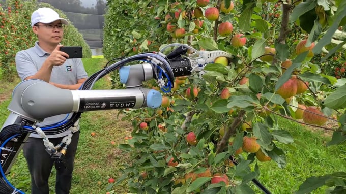 Robot thu hoạch trái cây đã được nghiên cứu, ứng dụng tại nhiều quốc gia tiên tiến trên thế giới. Ảnh: TL.