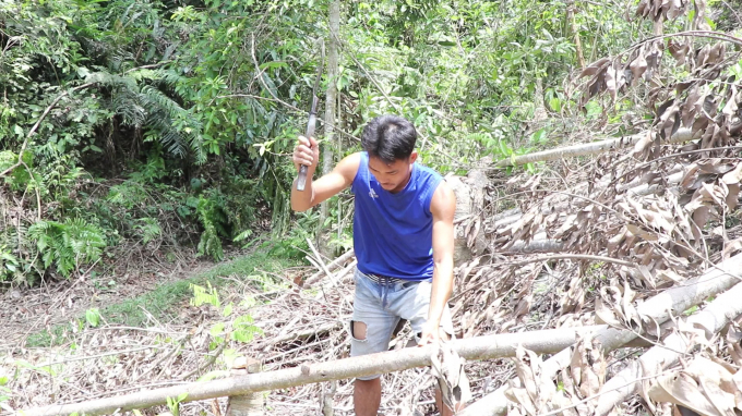 116 hộ dân ở thị trấn Nà Phặc đang là chủ rừng, lại trở thành người đi làm thuê trên chính mảnh đất mình đang canh tác gần 30 năm. Ảnh: Ngọc Tú.