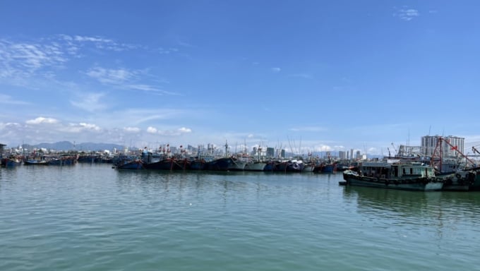 Nhiều tàu cá đánh bắt xa bờ ở Khánh Hòa nằm bờ tại vùng nước trước cảng Hòn Rớ. Ảnh: KS.