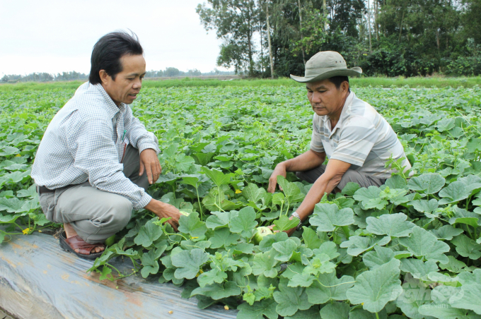 Nhờ vào phát triển hạ tầng thủy lợi, nên nhiều năm qua sản xuất nông nghiệp tỉnh Sóc Trăng tăng trưởng đáng kể. Ảnh: Trọng Linh.
