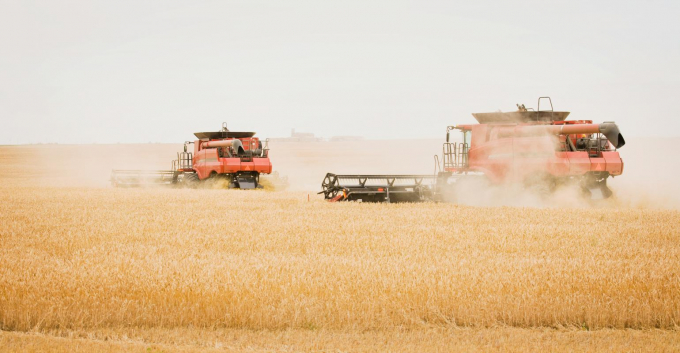 Dự báo nguồn cung ngũ cốc thế giới trong năm tới vẫn sẽ khan hiếm. Ảnh: Farm Futures