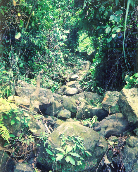 Đoạn suối cạn đầy đá dẫn lên núi Mã Cú. Ảnh: T.P.