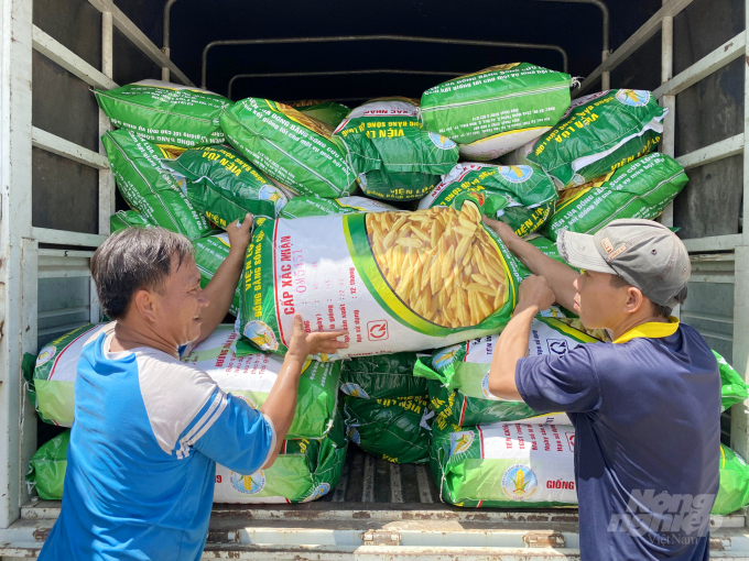 The Department of Crop Production prognosticated that the 2021-2022 winter-spring rice crop in the Mekong Delta still lacks 30,000-50,000 tons of rice seeds compared to the demand. Photo: Le Hoang Vu.