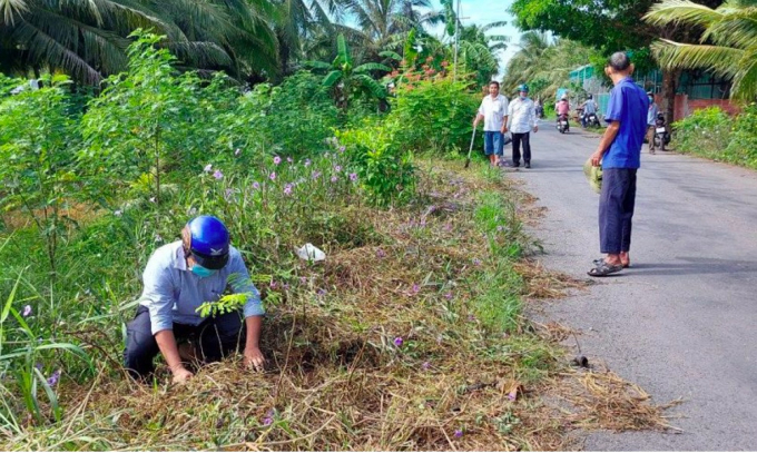 Nhân dân Châu Thành trồng hoa kiểng tạo cảnh quan môi trường. Ảnh: Thanh Tiếng.