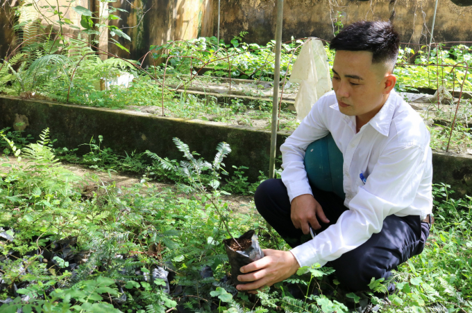 Vườn ươm bảo tồn các loài thực vật nguy cấp thuộc Khu Bảo tồn thiên nhiên Bát Đại Sơn tại xã Cán Tỷ (Quản Bạ, Hà Giang) do tổ chức FFI tài trợ. Ảnh: FFI.