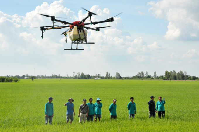 Thời gian qua, rất nhiều đơn vị, doanh nghiệp đã đưa Drone vào sử dụng phun thuốc BVTV, phổ biến nhất là trên cây lúa, song chưa có những nghiên cứu, đánh giá và quy trình chặt chẽ. Ảnh: TL.