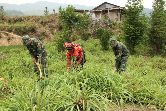 Bộ đội biên phòng giúp người dân Thu Lũm phát triển kinh tế. Ảnh: T.L