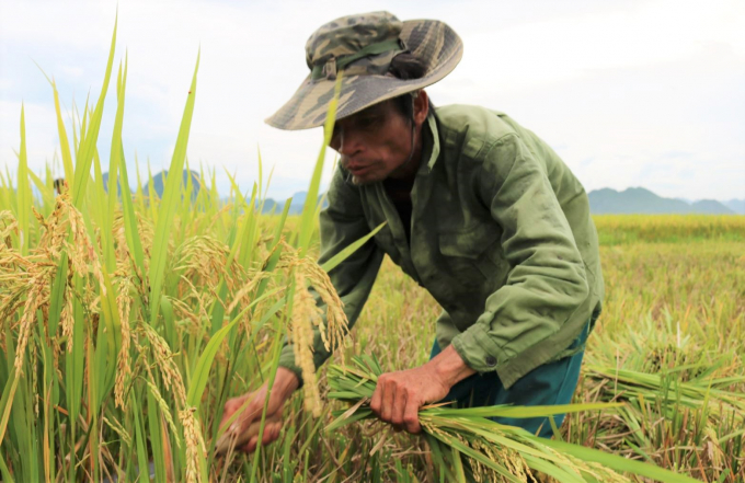 Việt Nam sẽ tạo điều kiện để phát triển đa dạng các loại hình tổ chức nông dân, hợp tác xã và các hội, hiệp hội nghề trong nông nghiệp, nông thôn.