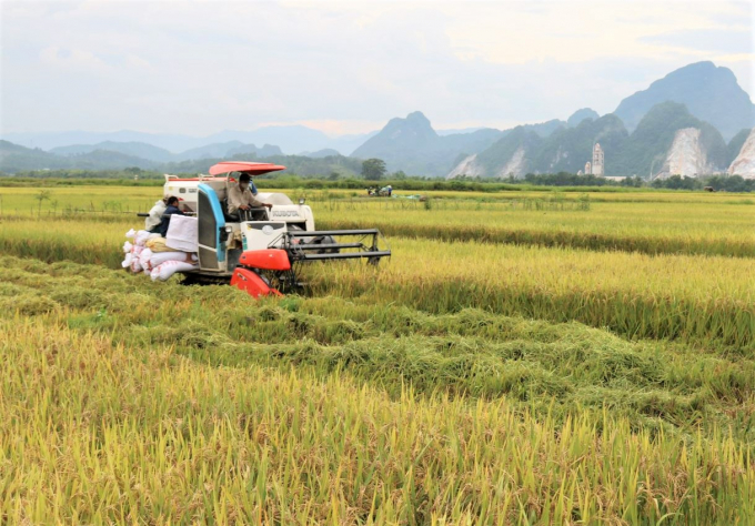 Nông nghiệp Việt Nam hướng đến thương hiệu là Nhà cung cấp lương thực thực phẩm 'trách nhiệm, minh bạch và bền vững'.