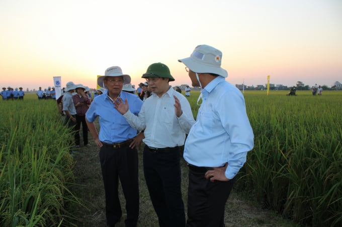 Ông Nguyễn Qúy Dương (giữa), Phó cục trưởng Cục BVTV trong một lần thăm mô hình sản xuất lúa canh tác thông minh tại ĐBSCL. Ảnh: Cục BVTV. 