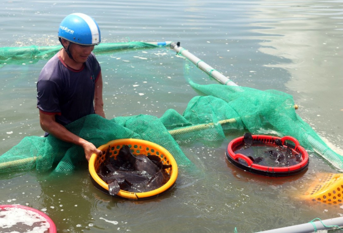 Aquaculture in Vietnam still has a lot of room for development.