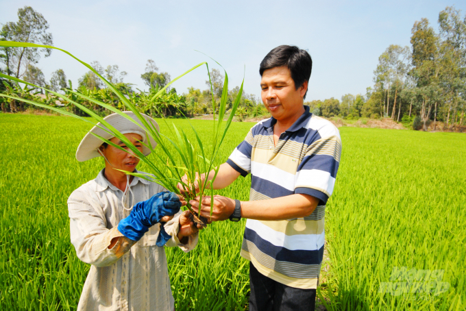 Các giải pháp sinh học, giải pháp về canh tác sẽ được tập trung lan tỏa nhằm giảm dần sự lạm dụng vật tư nông nghiệp trong giai đoạn tới. Ảnh: LHV.