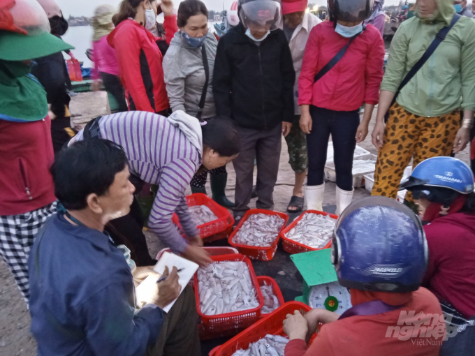 Tiểu thương tại Cảng Cửa Việt thu mua thuỷ sản của ngư dân. Ảnh: CĐ.