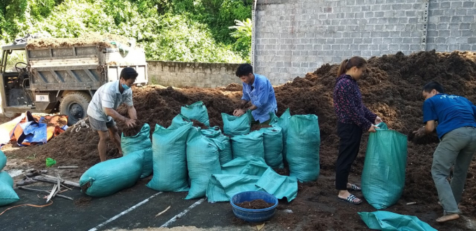 Triển khai kỹ thuật xử lý môi trường bằng chế phẩm sinh học. Ảnh: Phương Thúy.