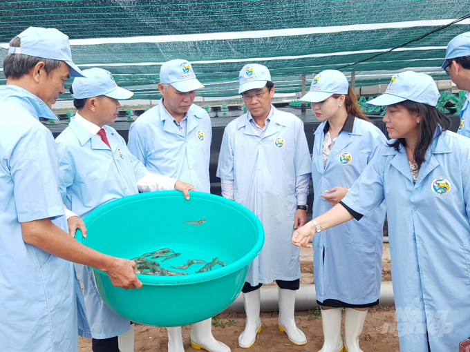 Thứ trưởng Bộ NN-PTNT Phùng Đức Tiến, khảo sát mô hình nuôi tôm công nghệ cao tại TP. Bạc Liêu. Ảnh: Quốc Việt.