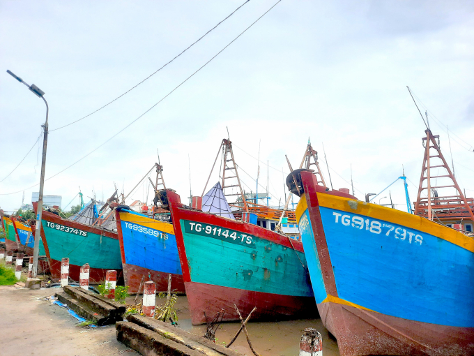 Hơn 50% số tàu cá của tỉnh Tiền Giang 'nằm bò' vì hải sản rẻ không tiêu thụ được. Ảnh: Minh Đảm.