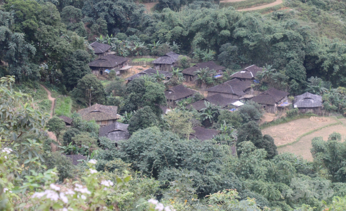 Một bản làng của người Lô Lô ở xóm Khuổi Khon, xã Kim Cúc, huyện Bảo Lạc. Ảnh: Nguyễn Toán.