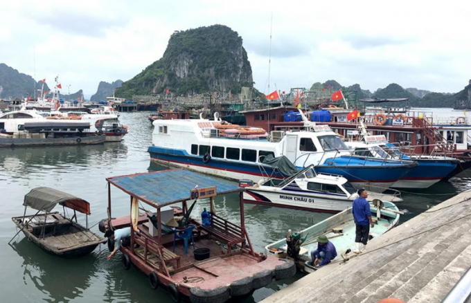 Tỉnh Quảng Ninh đã kêu gọi tàu, thuyền đang hoạt động trên vùng biển Quảng Ninh nhanh chóng tìm nơi trú ẩn trước khi bão số 7 ảnh hưởng. Ảnh: Tiến Thành. 