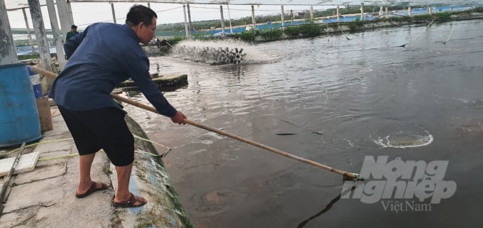 Người dân nuôi tôm ở phường Tân Thành, quận Dương Kinh (Hải Phòng) sẵn sàng các phương án để ứng phó với mưa bão tiếp theo. Ảnh: Đinh Mười.