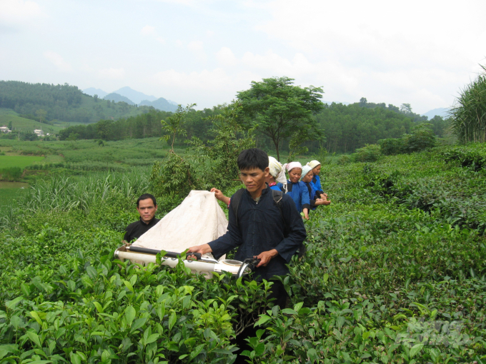 Việc áp dụng tiến bộ khoa học kỹ thuật vào sản xuất giúp người nông dân xã Bình Yên nâng cao thu nhập. Ảnh: HB.