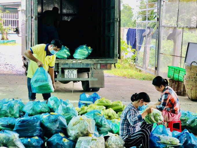 Người lao động ở các HTX chuyên canh rau tại huyện Gò Công Tây có thu nhập từ 4 - 6 triệu đồng/tháng, còn nông dân trồng rau an toàn vẫn thu lợi nhuận từ 200 - 400 triệu đồng/ha/năm. Ảnh: Minh Sáng.