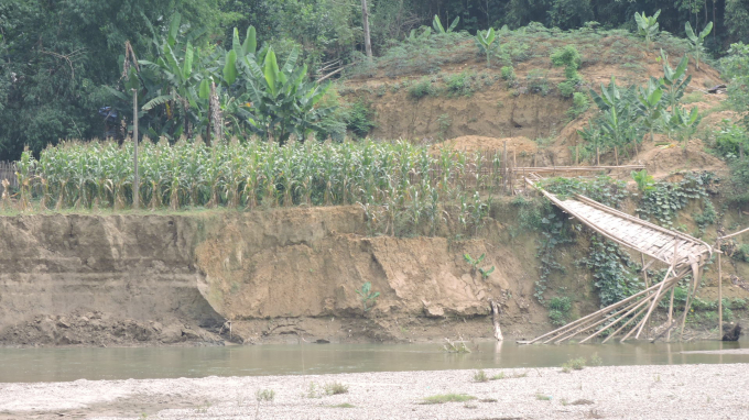 Phù sa kèm theo cát, bùn quá nhiều tạo thành những bãi bồi trên sông Năng gây sạt lở đất nông nghiệp của người dân. Ảnh: Toán Nguyễn.