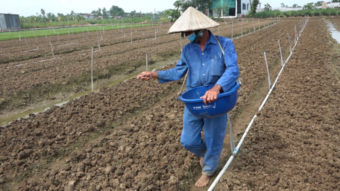 Tiền Giang tổ chức lại sản xuất, cơ cấu hợp lý cây trồng và mùa vụ sản xuất theo hướng thích ứng biến đổi khí hậu. Ảnh: Trần Trung.