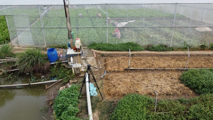 Nhà nông Gò Công Tây ứng dụng nhà lưới, nhà kính, tưới phun sương, tự động vào sản xuất rau màu. Ảnh: Minh Sáng.
