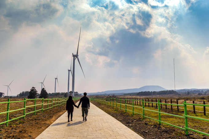 Một trang trại điện gió trên đảo Jeju, Hàn Quốc. Ảnh: Alamy.