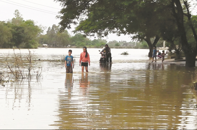 Môi trường sống thường xuyên bị ngập úng tạo điều kiện cho các loài kí sinh trùng, vi khuẩn phát triển gây nhiều bệnh về da. Ảnh minh họa.