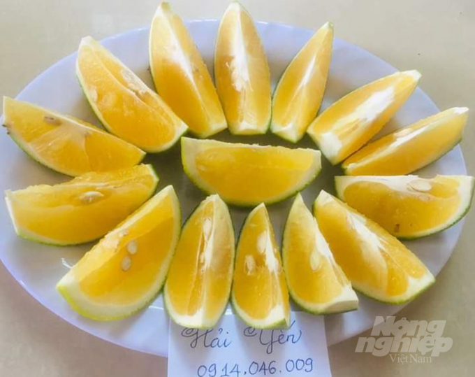 Sản phẩm cam K4 Hải Phú được người tiêu dùng trong, ngoài tỉnh Quảng Trị ưa thích bởi hương vị đặc trưng. Ảnh: CĐ.