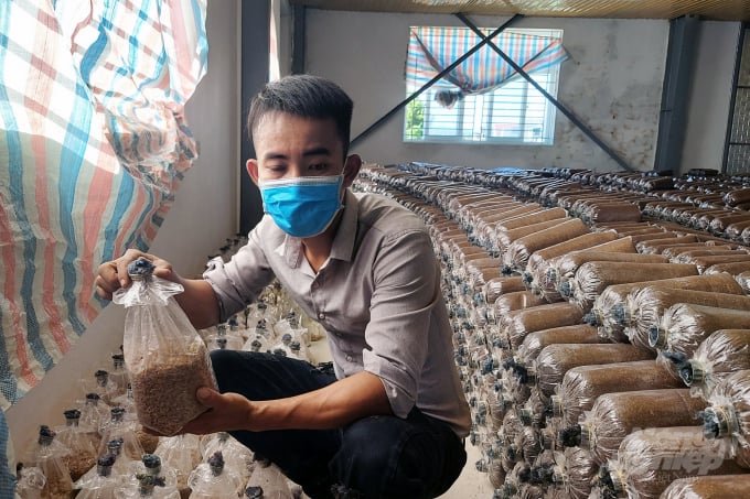 Anh Trúc quyết định lựa chọn nghề nấm bởi lợi thế xứ Thanh nhiều nhà máy gỗ, lợi thế nguồn phụ phẩm mùn cưa rất thuận lợi phát triển trồng nấm. Ảnh: VD.