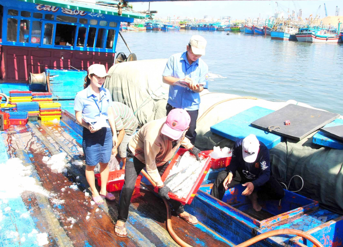 Ngành chức năng Bình Định kiểm tra nguồn gốc thủy sản đánh bắt khi tàu cá của ngư dân cập bờ bán sản phẩm. Ảnh: Vũ Đình Thung.