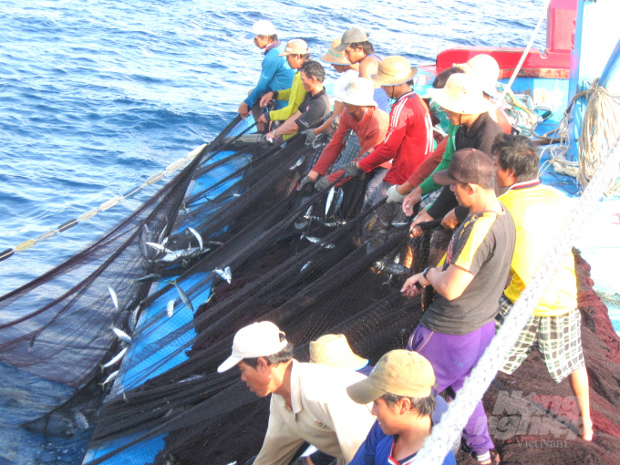 Làng chài Hoài Hương (TX Hoài Nhơn) là cái nôi của nghề lưới vây rút chì của ngư dân Bình Định. Ảnh: Vũ Đình Thung.