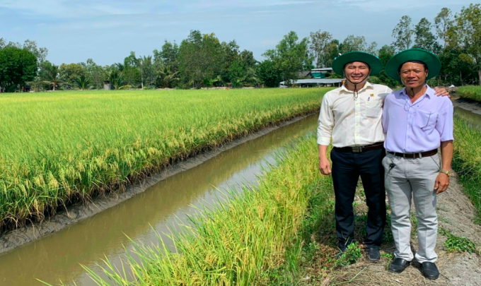 Mô hình canh tác lúa thông minh triển khai trên đất tôm - lúa tại thị xã Giá Rai, tỉnh Bạc Liêu. Ảnh: TL.