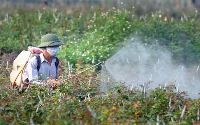 Vietnam's biopesticides market is expected to reach USD 65.7 million by 2024, with a growth rate of over 16.4% per year. Photo: TL.