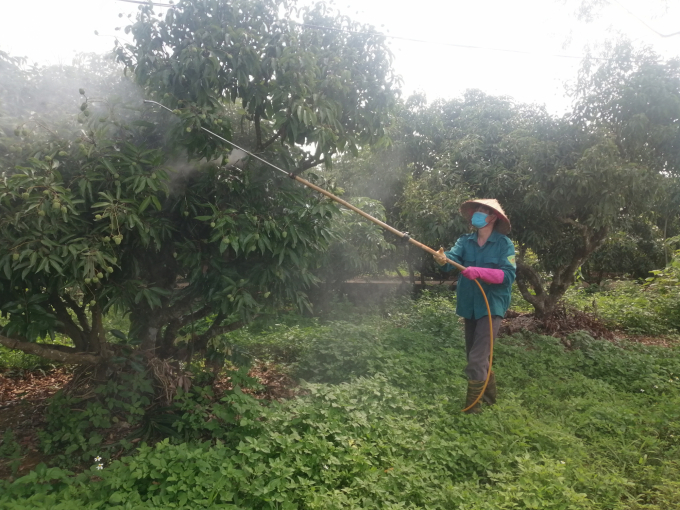 By June 2020, the list of pesticides permitted for use in Vietnam had 231 active ingredients with 721 trade names of biological pesticides, accounting for 18% of the total pesticides in the list. Photo: Trung Quan.