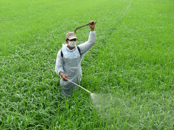  VIPA requested that the State study and explore a zero-percent import tax on biological pesticides and biological pesticide manufacturing technology lines. Photo: TL.