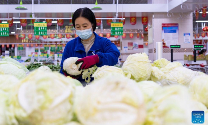 Nhân viên siêu thị ở thành phố Cáp Nhĩ Tân (Hắc Long Giang) bên kệ rau bắp cải trước thời điểm giá rau tăng phi mã ở Trung Quốc. Ảnh: THX