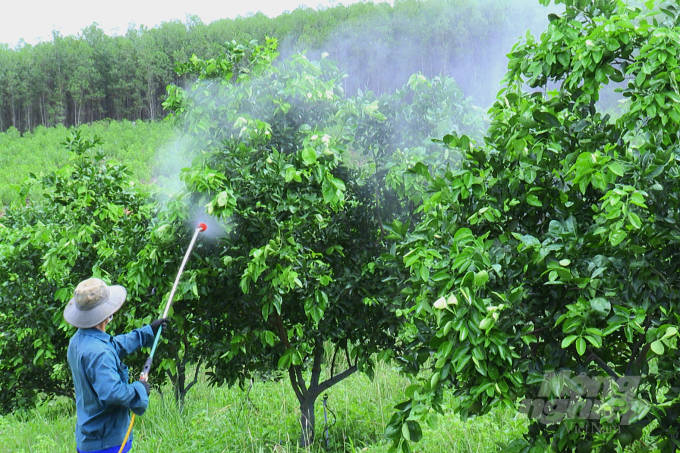 Phun chế phẩm sinh học để phòng trừ sâu bệnh cho vườn cây ăn quả hữu cơ tại Công ty Cổ phần Nông sản hữu cơ Bàu Giàng. Ảnh: Tâm Phùng.