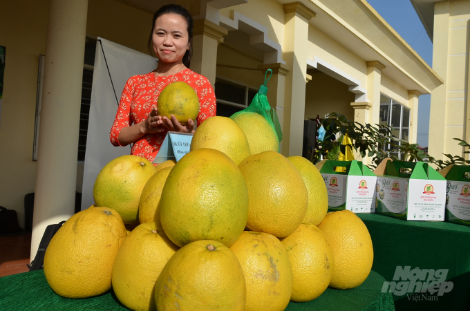 Bưởi thồ của Hà Nội. Ảnh: Dương Đình Tường.