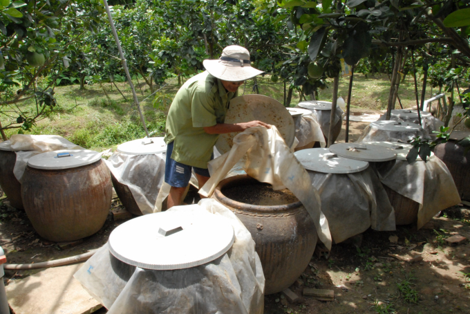 Nông dân ủ phân hữu cơ dùng cho sản xuất cây ăn trái. Ảnh: Lê Hoàng Vũ.