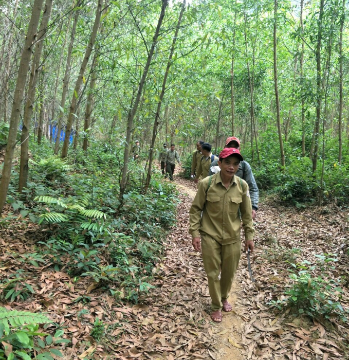 Lực lượng của Ban Quản lý Rừng phòng hộ huyện Vân Canh (Bình Định) đi tuần tra bảo vệ rừng phòng hộ. Ảnh: Đ.T.