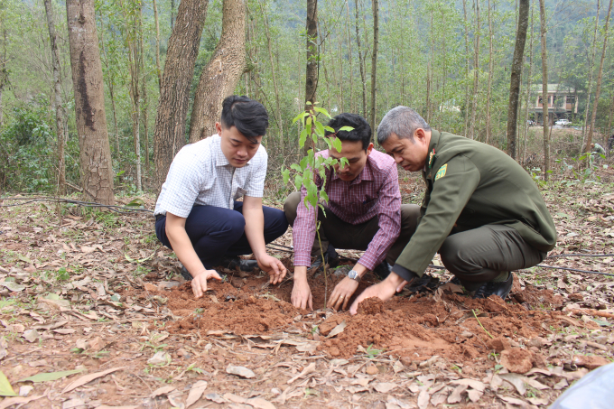 Lực lượng kiểm lâm và các địa phương trồng cây xanh hưởng ứng chương trình. Ảnh: PVT.
