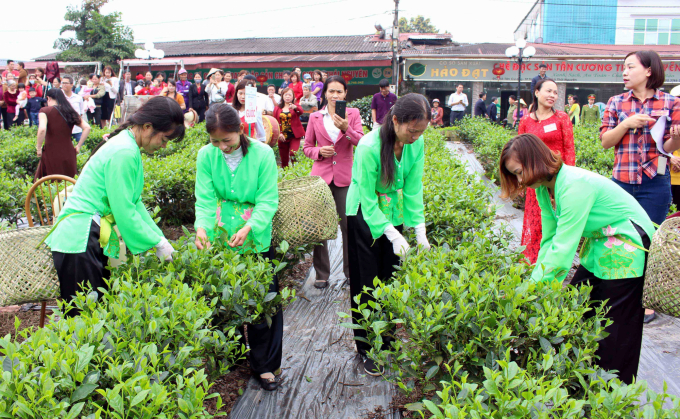 Lễ hội văn hóa trà Thái Nguyên đã quảng bá rộng rãi sản phẩm chè Thái Nguyên cả trong và ngoài nước. Ảnh: ĐVT.