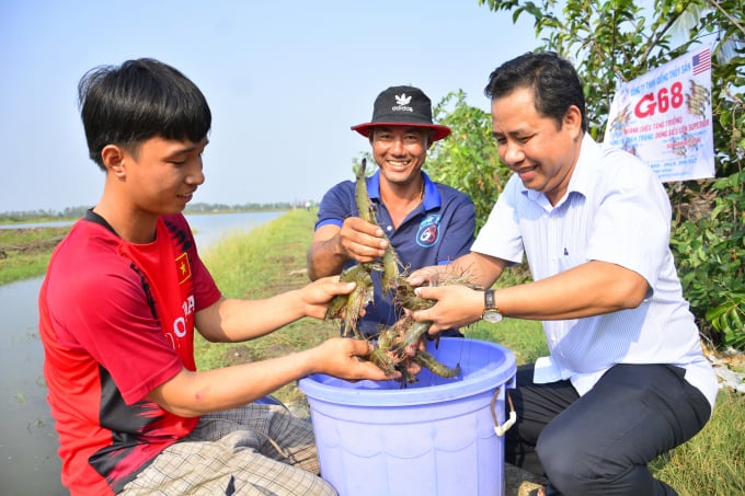 Mr. Le Van Quang assesses the potential of shrimp - rice farming in Mekong Delta is very large. Photo: LHV.